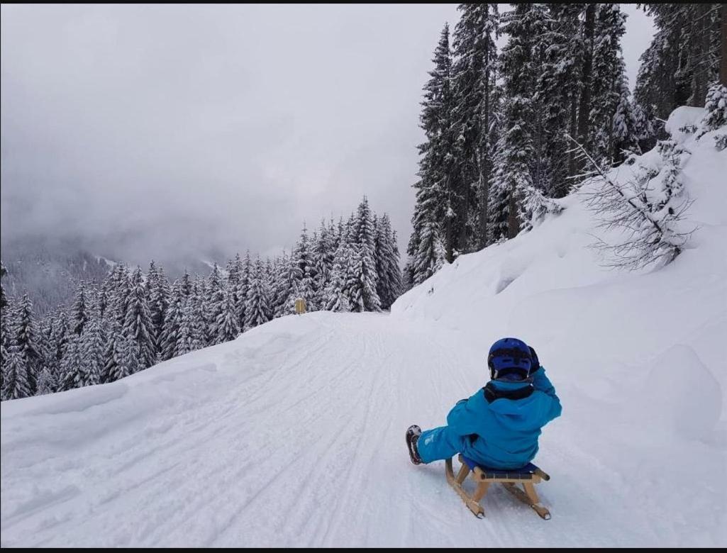 Lieblingsplatz - Ski in und Ski out See Exterior foto